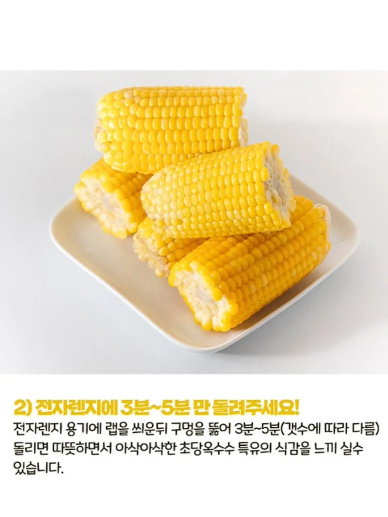 보름달 강아지케이크 13