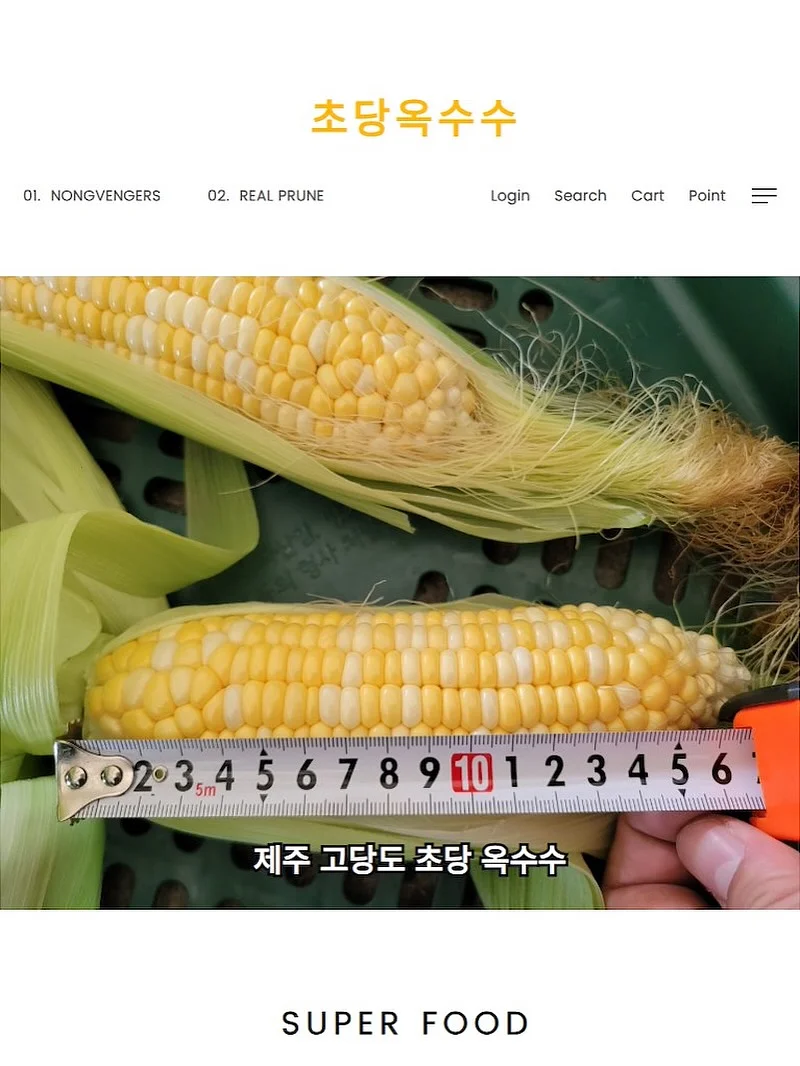 보름달 강아지케이크 4