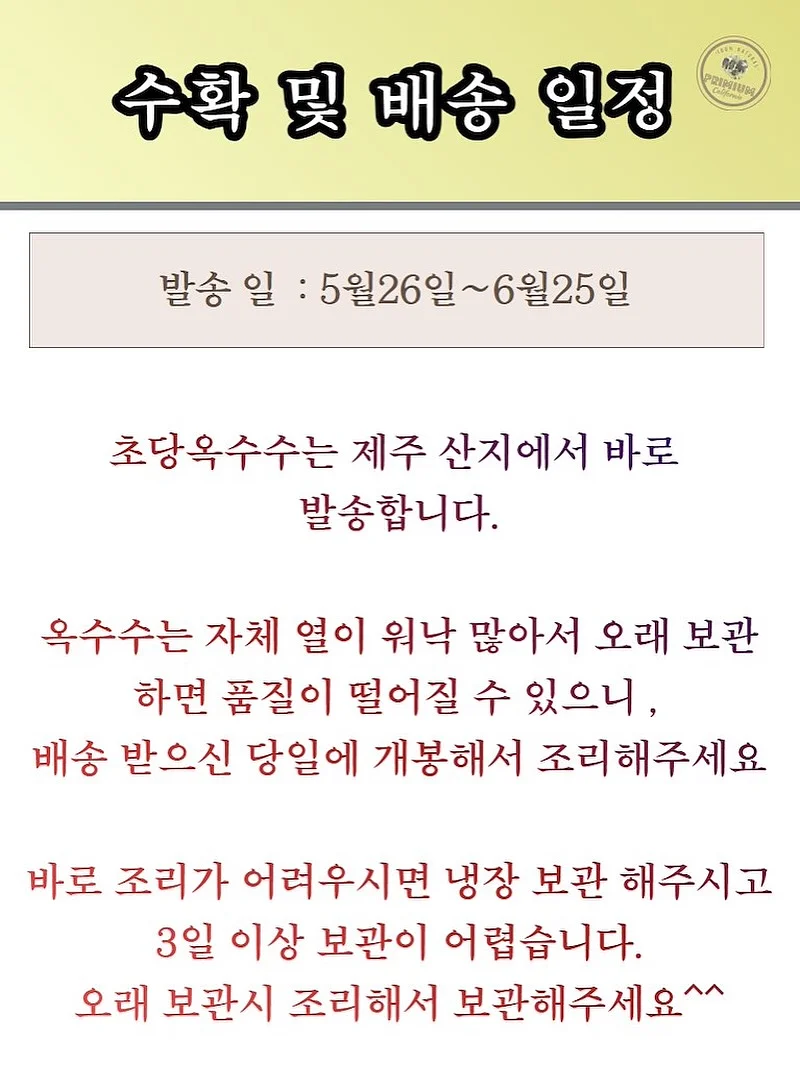 보름달 강아지케이크 5