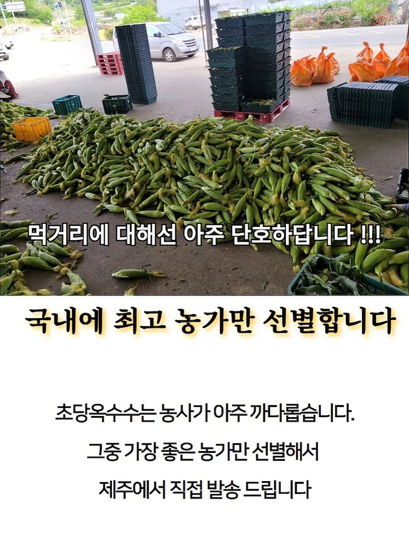 보름달 강아지케이크 6
