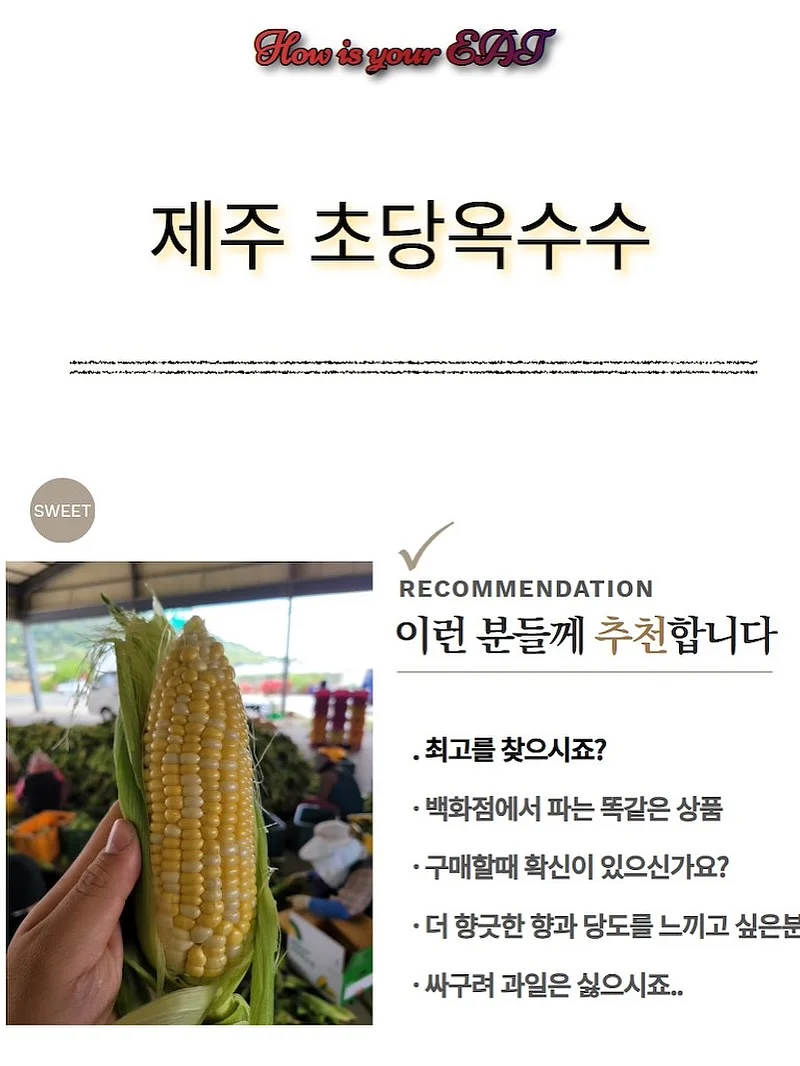 보름달 강아지케이크 9