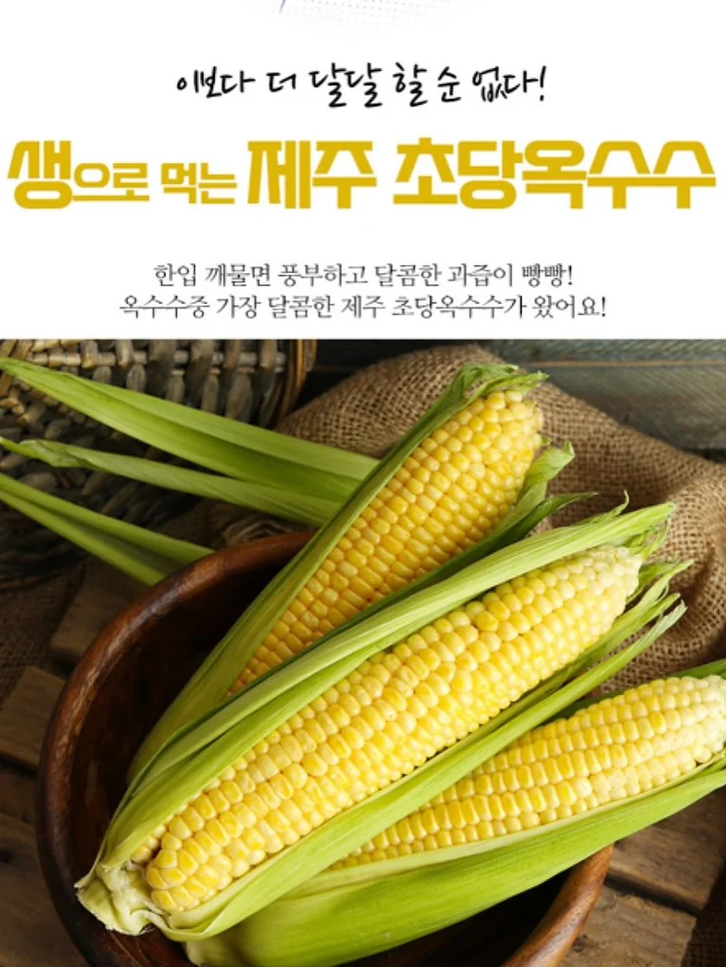 보름달 강아지케이크 10