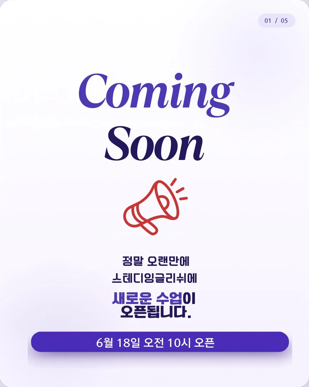 벨기에 로만쉐이드 1