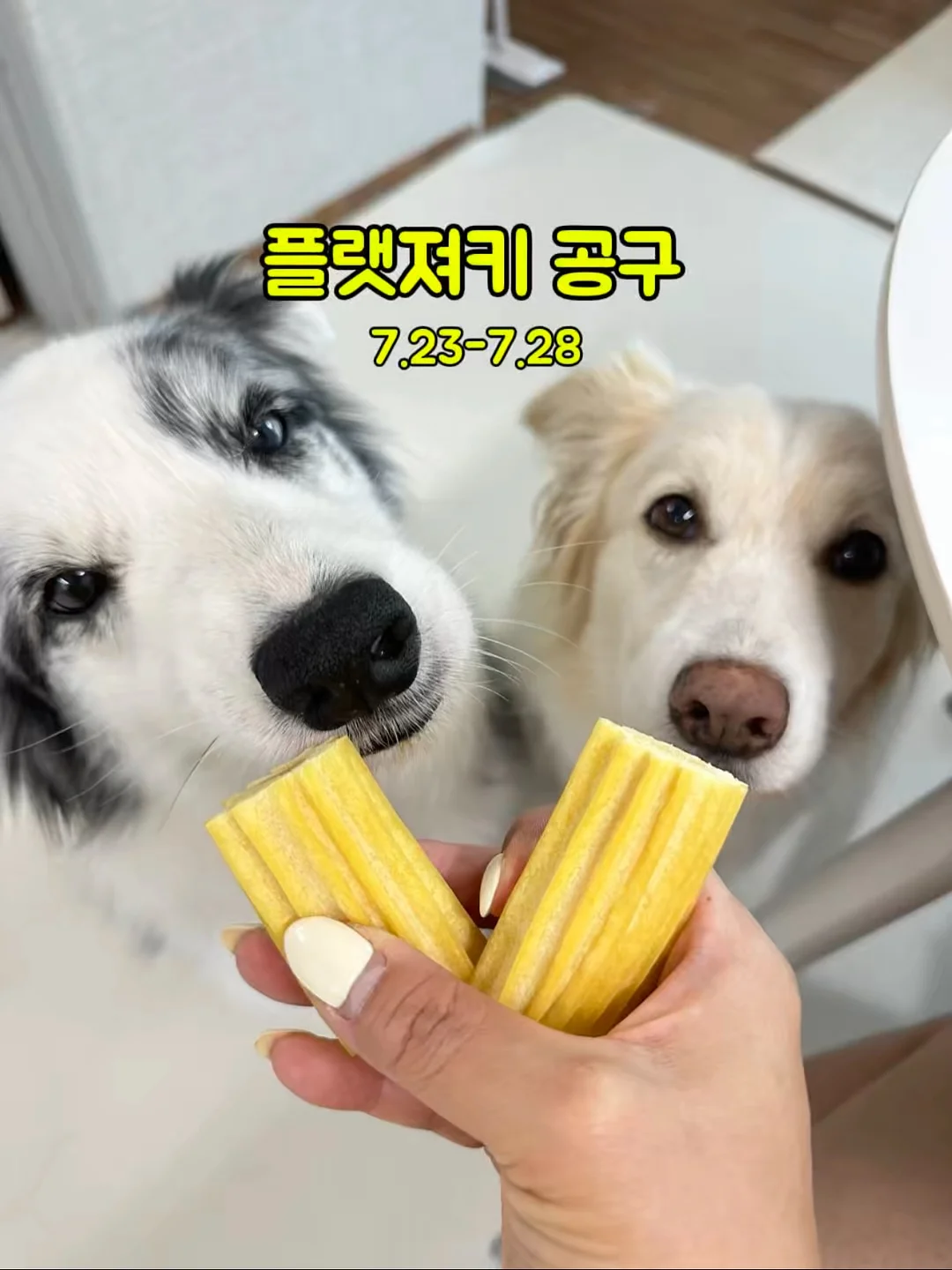 네가 태어나던 날 1