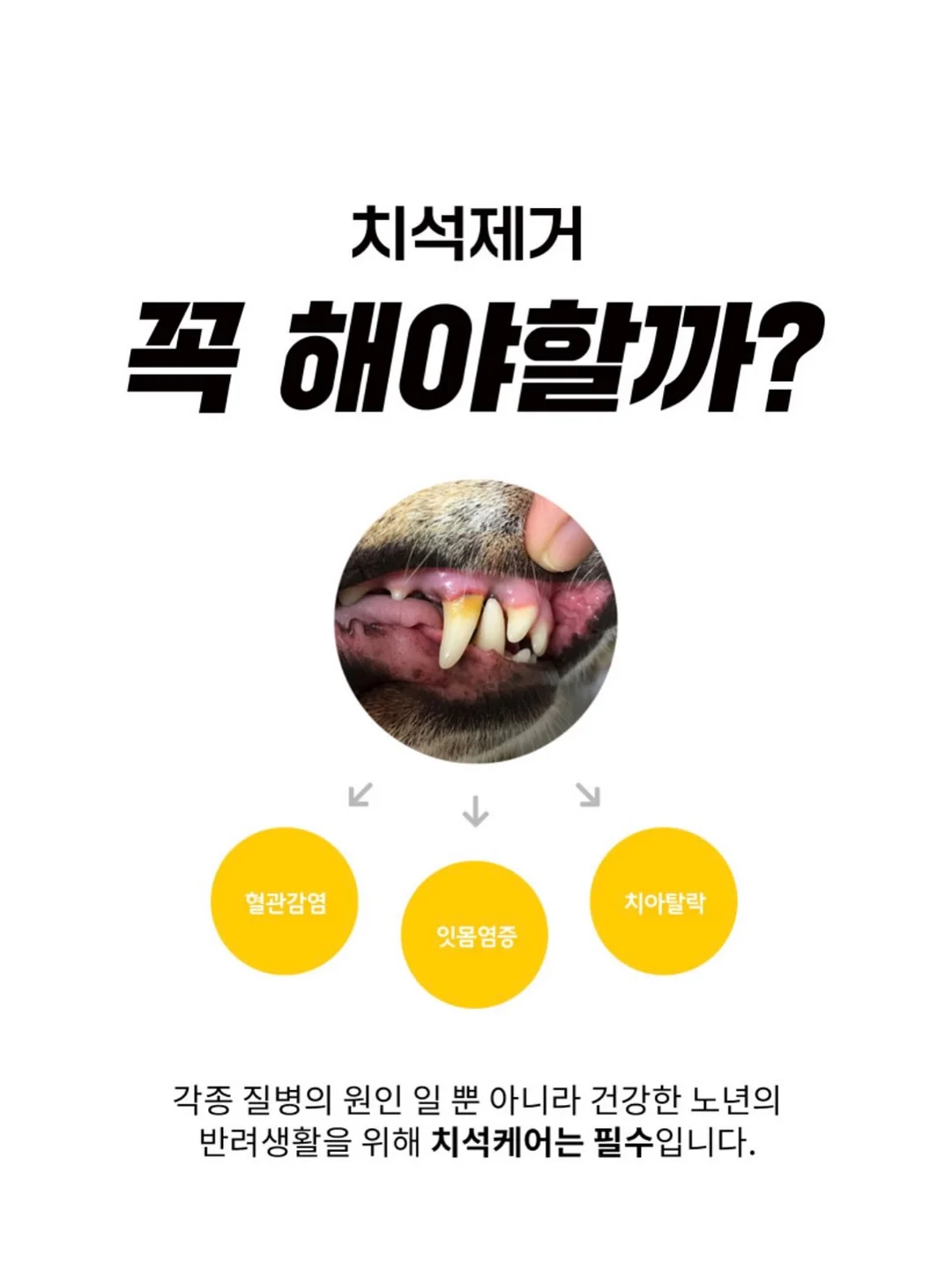 네가 태어나던 날 2