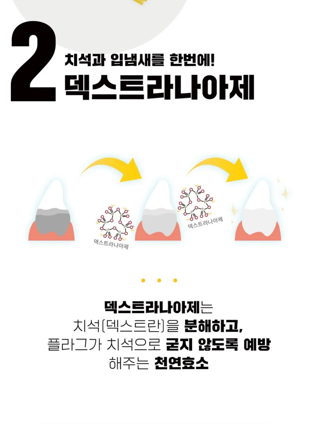 네가 태어나던 날 4