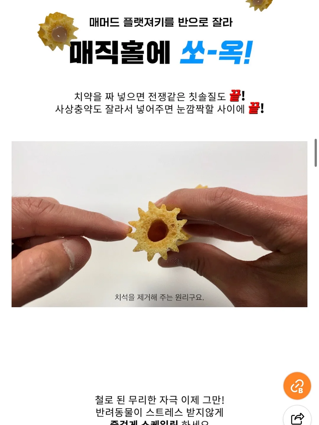 네가 태어나던 날 5