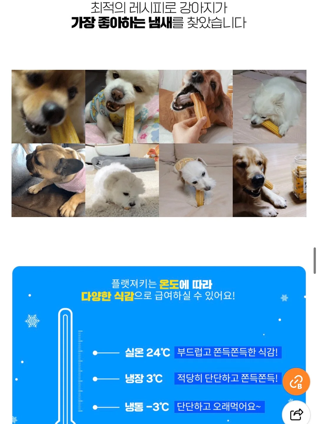 네가 태어나던 날 6