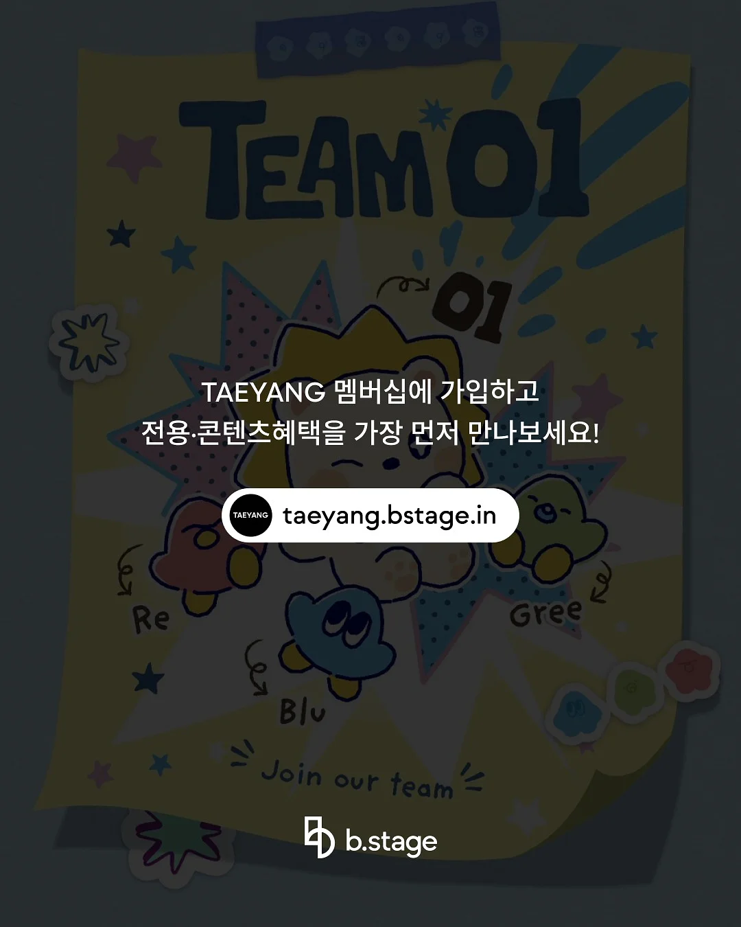 플레종 수납함 4