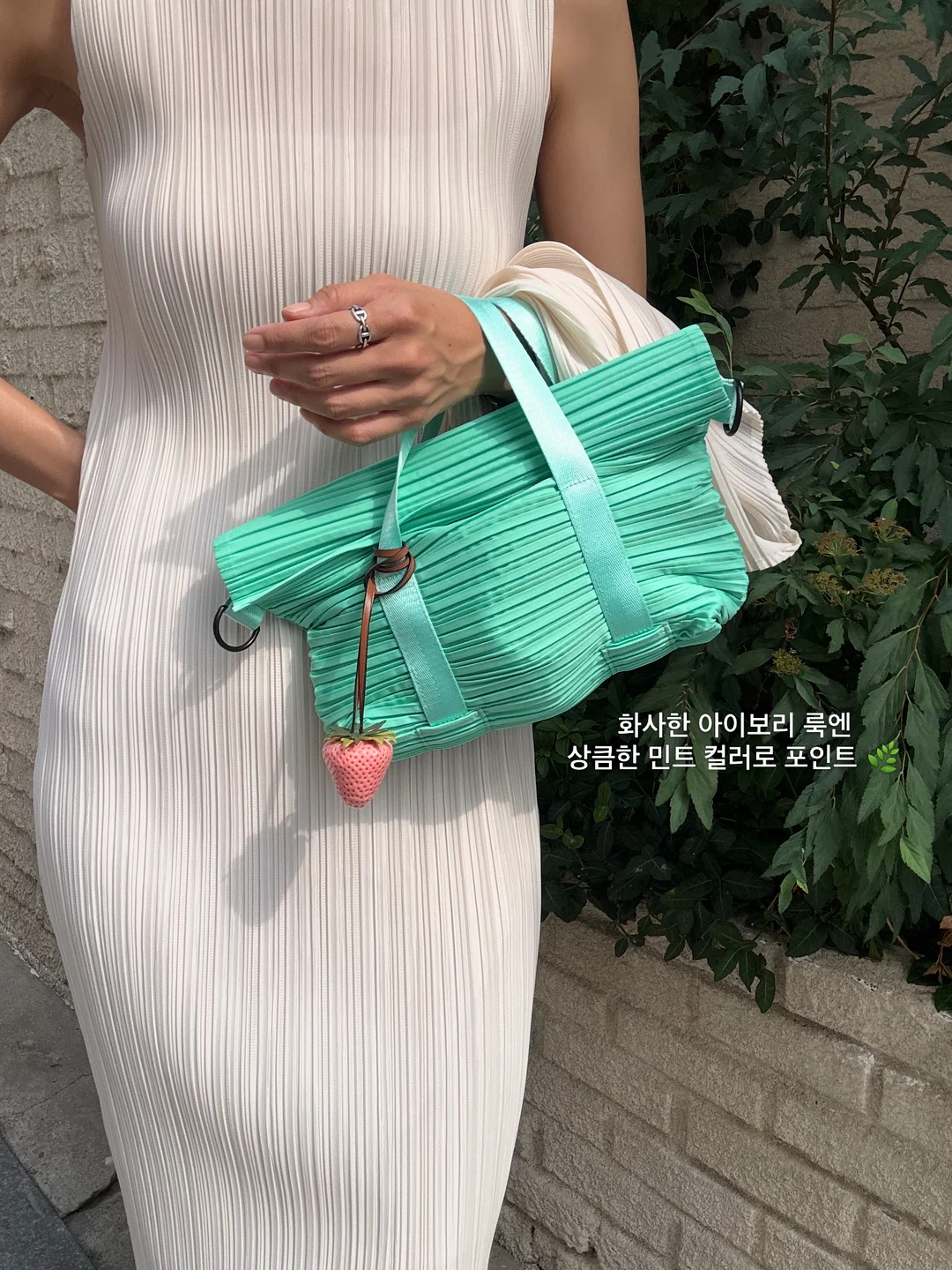 레몬 커큐민 NMN 증정구성 4