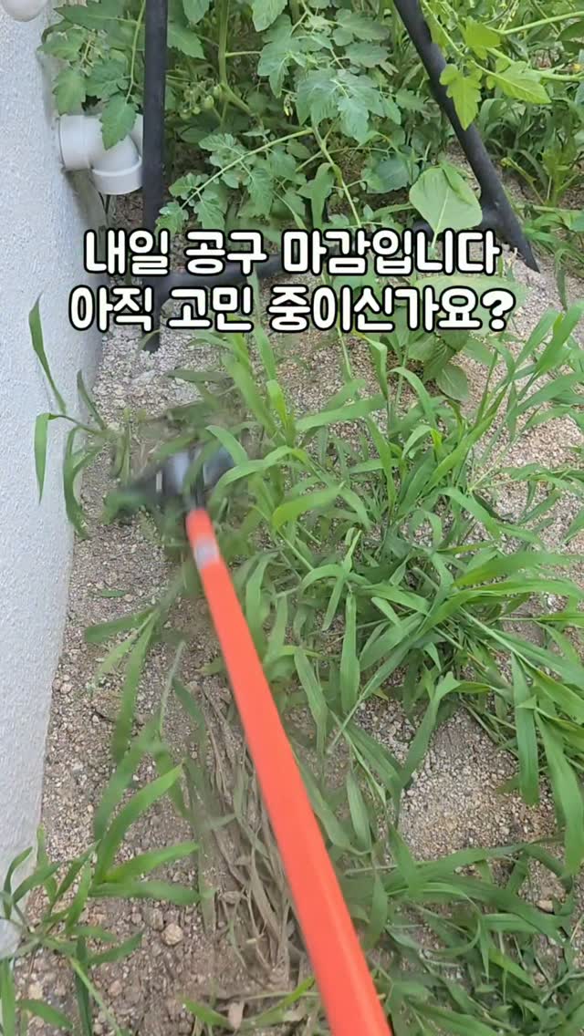 여름 뷰티 꿀템