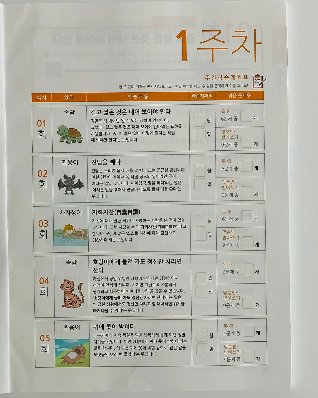 럭키플래닛 x 드롭드롭드롭 캐리어 4