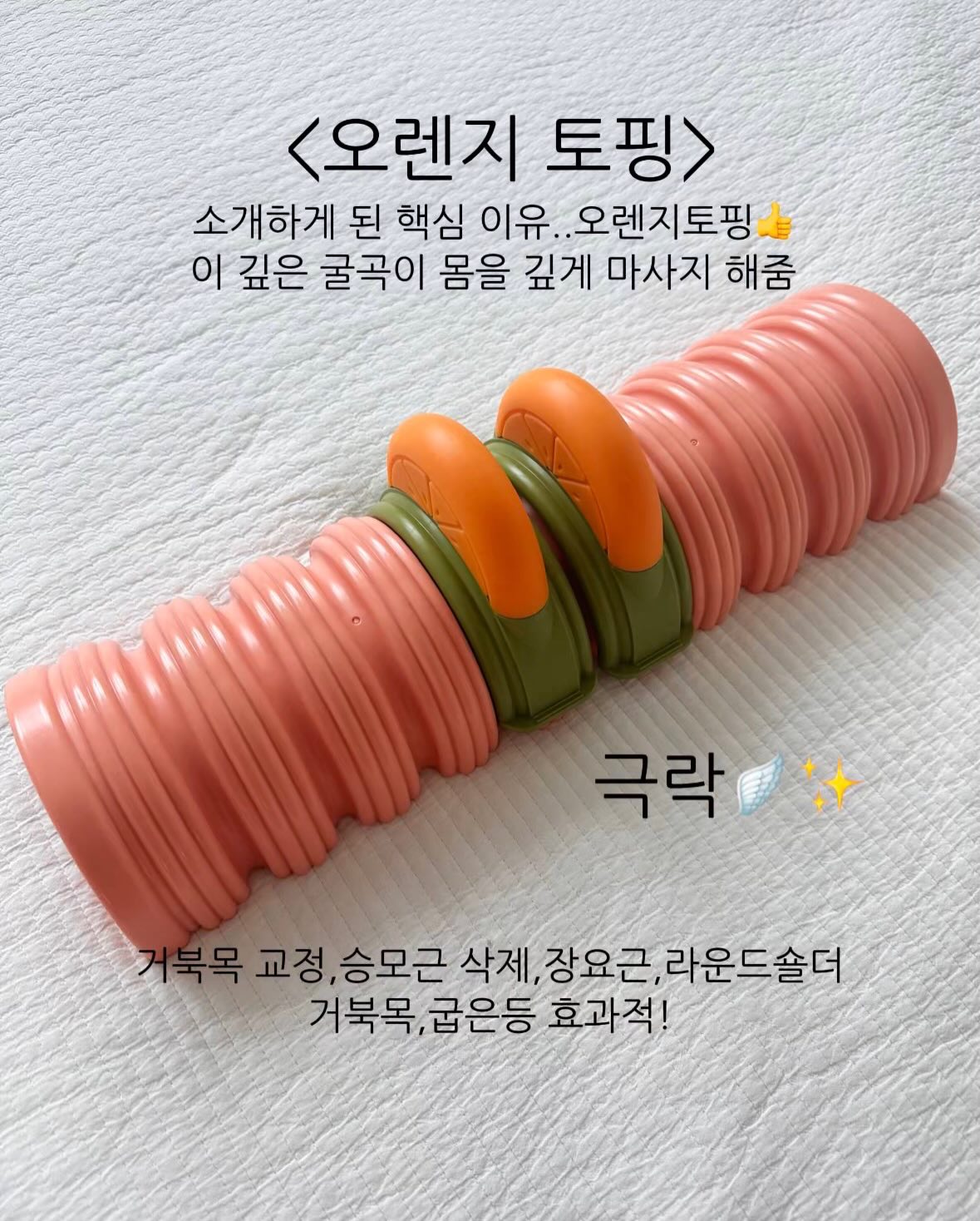 오드타입 틴트 6