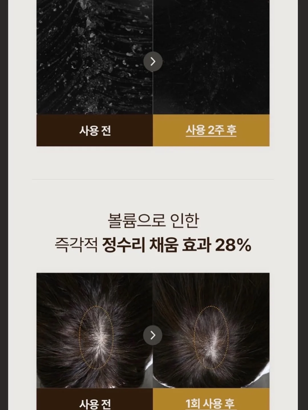 컬러 4컷 사진 촬영 16