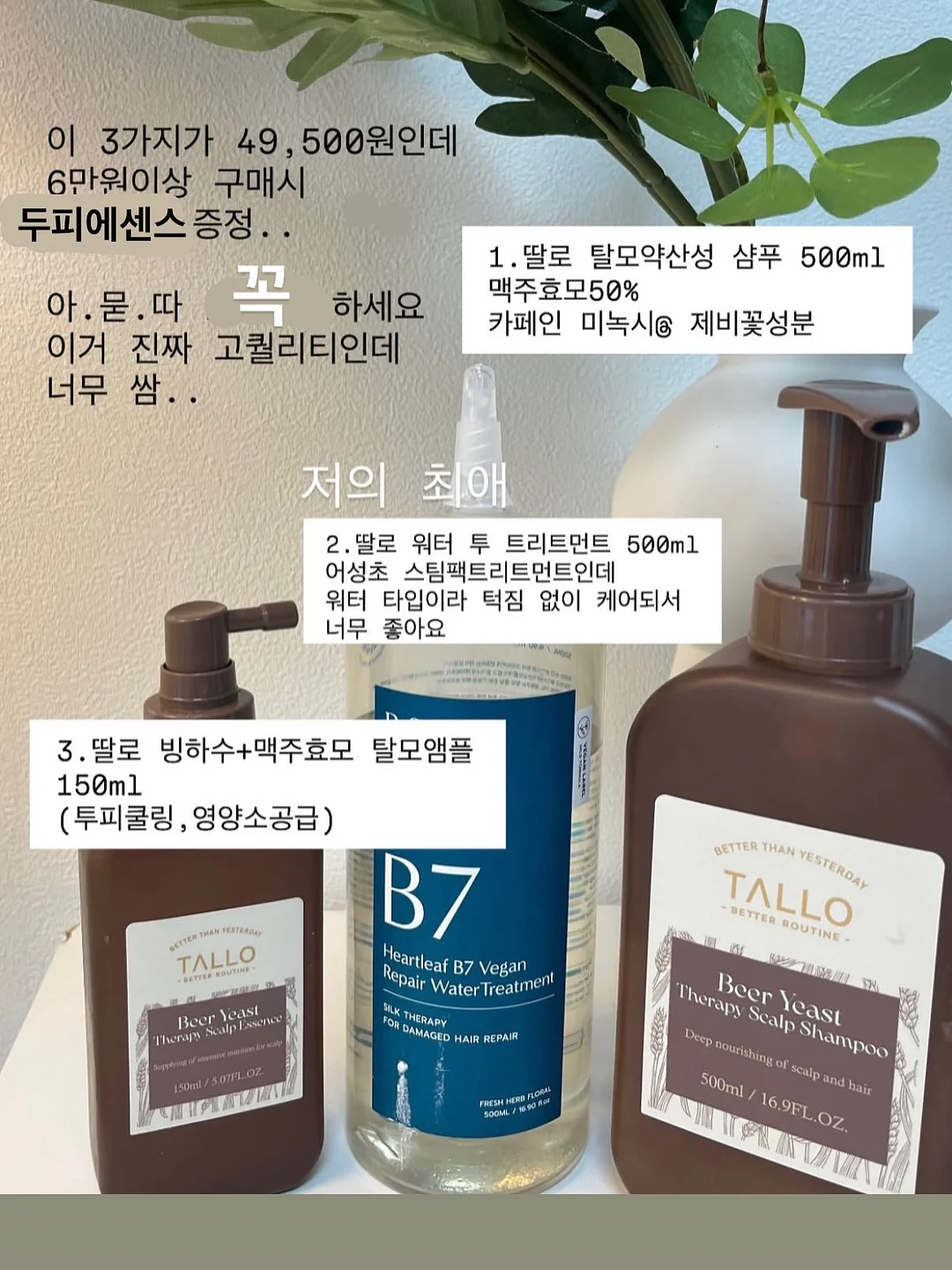 컬러 4컷 사진 촬영 3