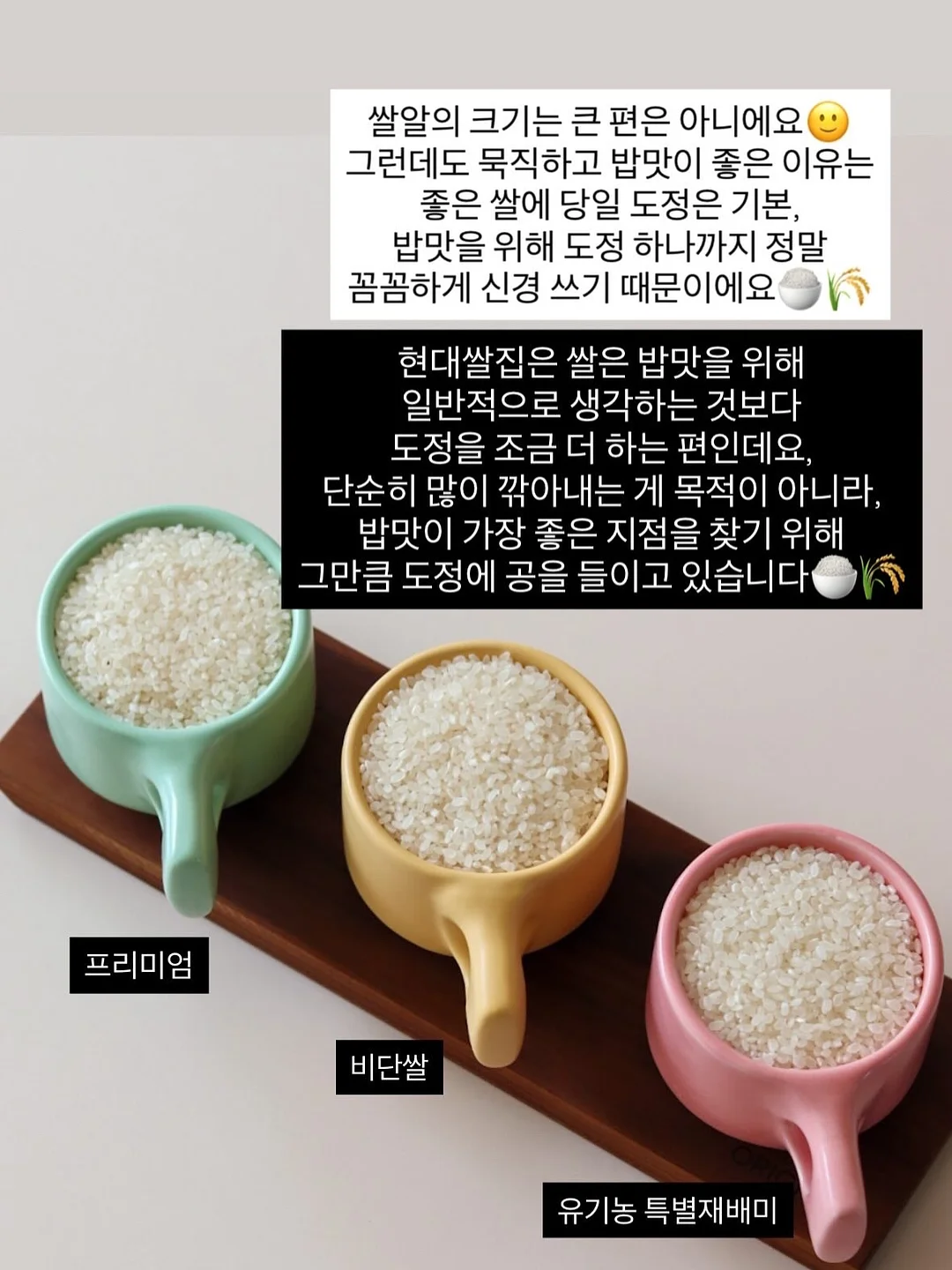 바나나보트 섬머 컬러 셀프 태닝 로션 3