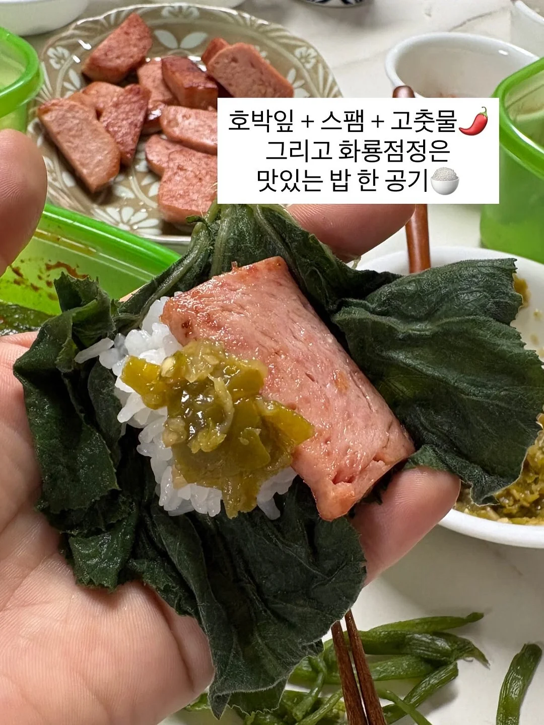 바나나보트 섬머 컬러 셀프 태닝 로션 5
