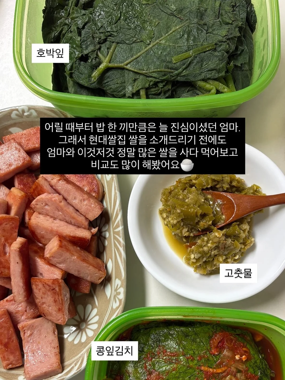 바나나보트 섬머 컬러 셀프 태닝 로션 6