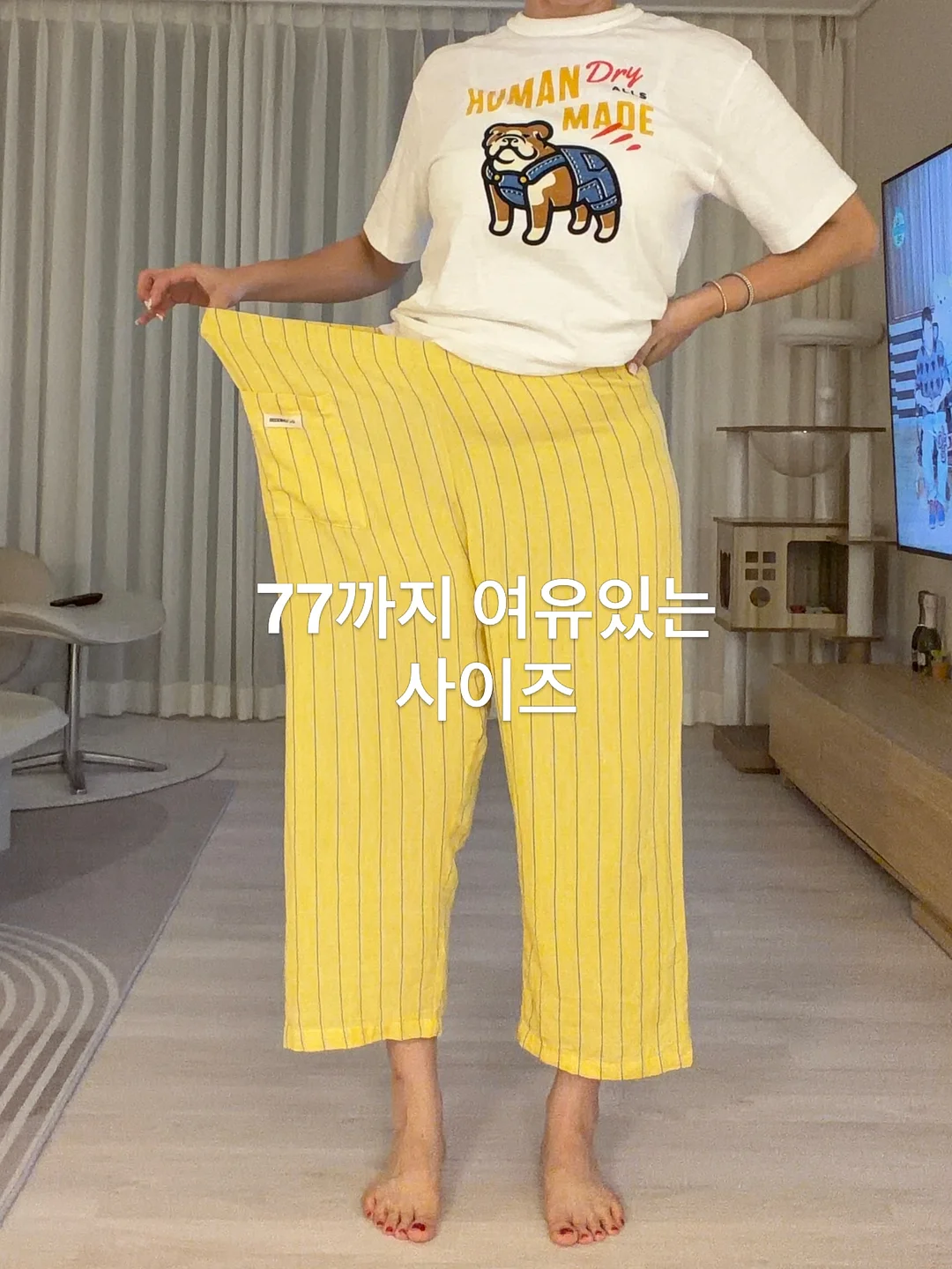 찐티보리 4