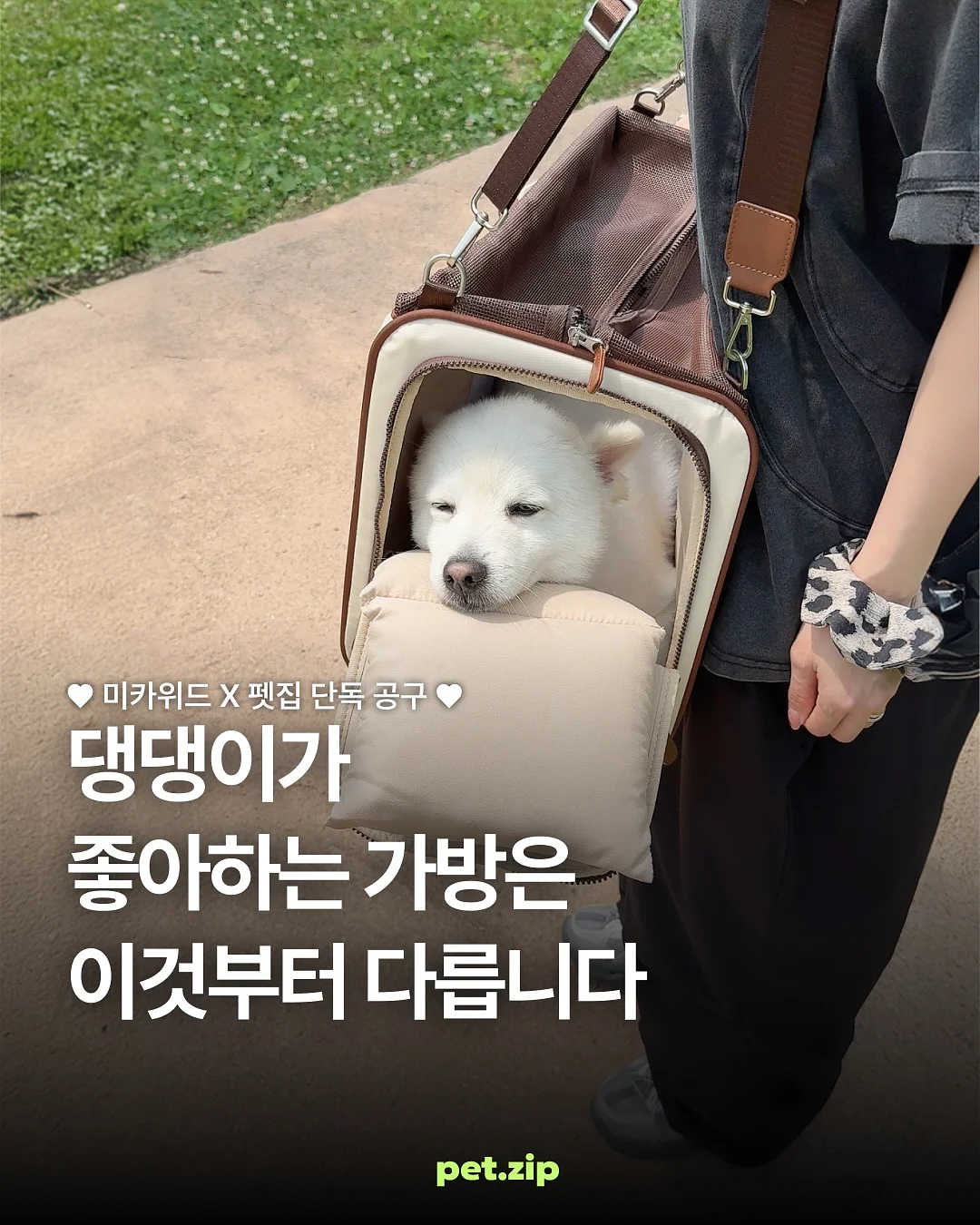 로채브 컬렉션 1