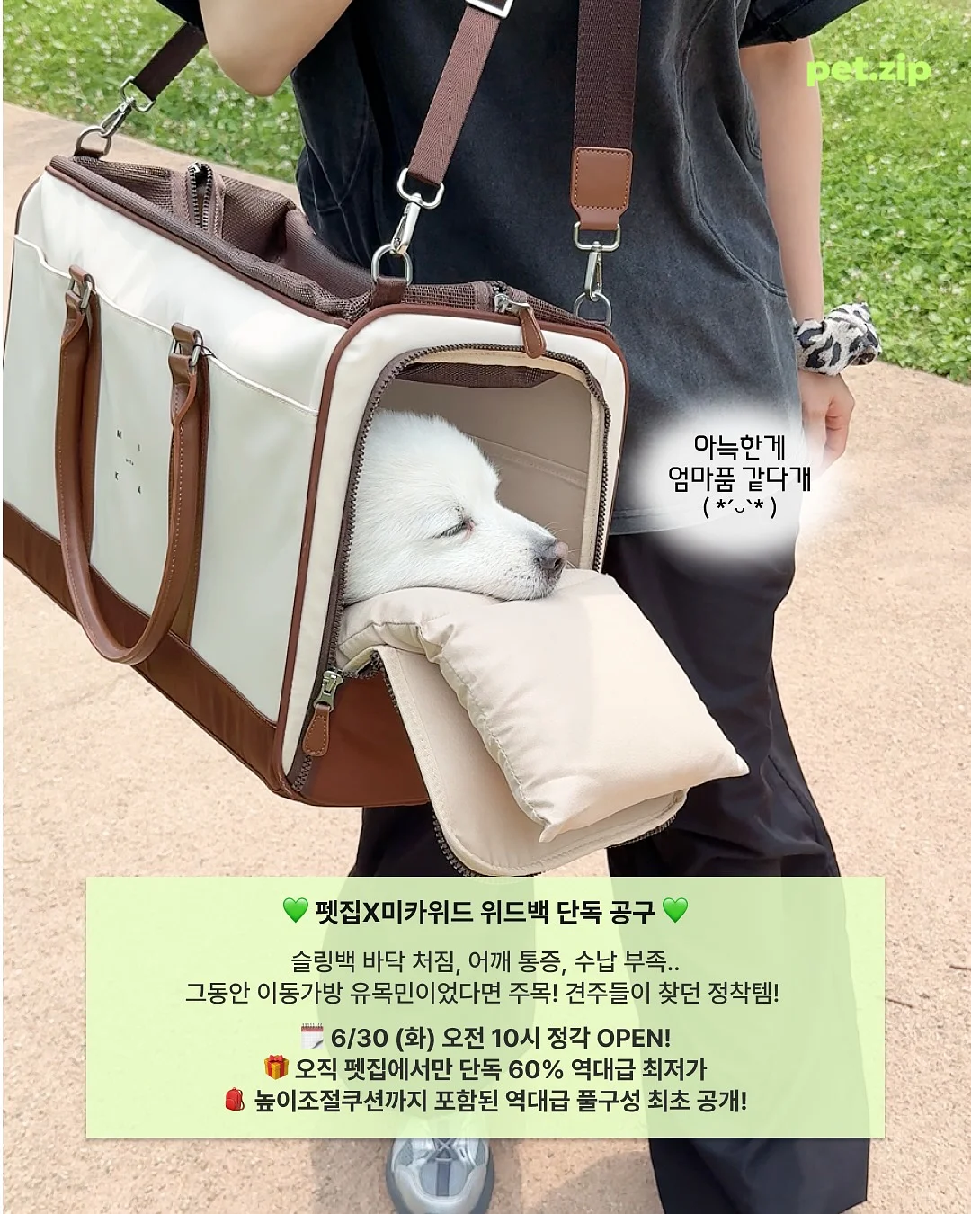 로채브 컬렉션 7
