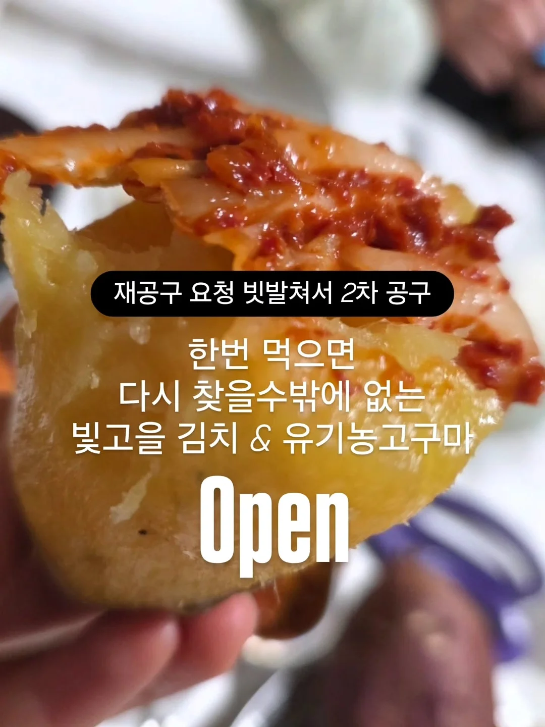 올솜 책지갑 1