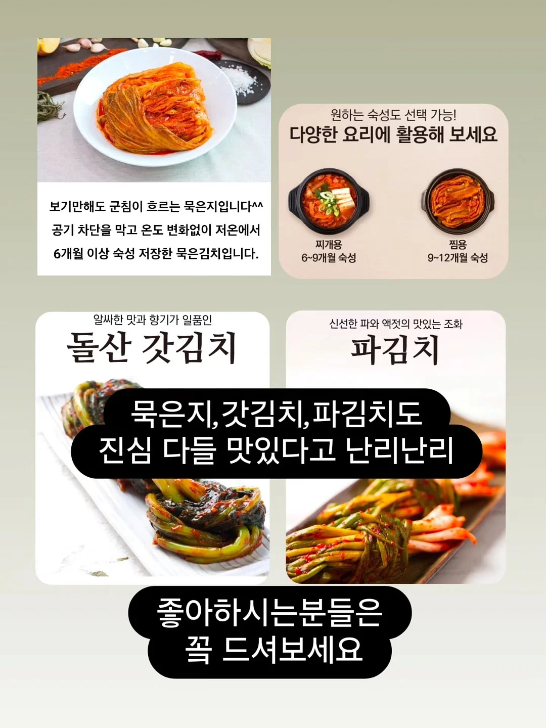 올솜 책지갑 5