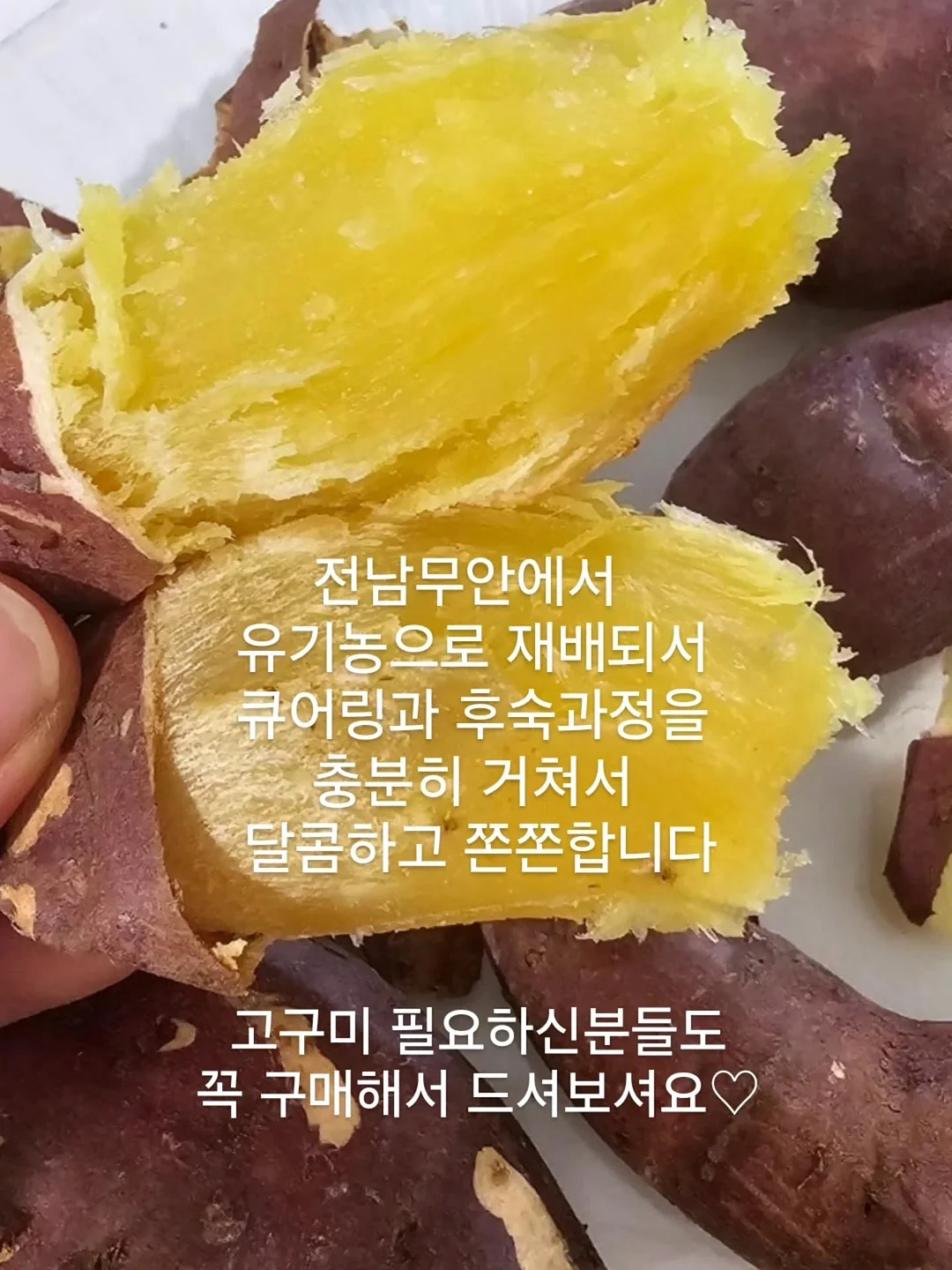 올솜 책지갑 8
