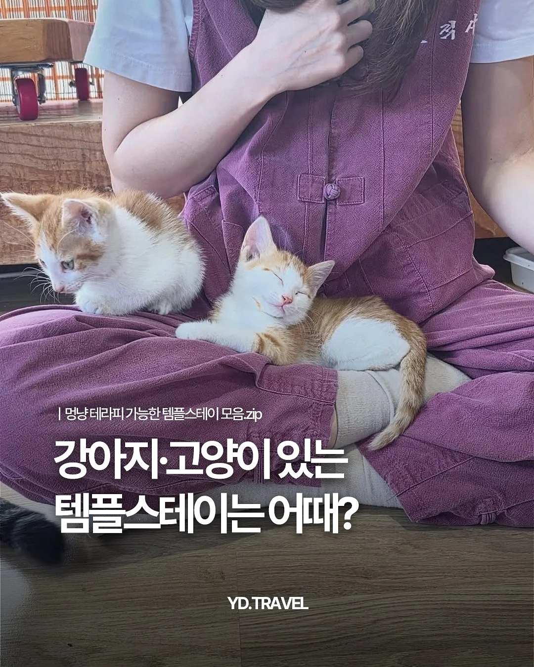 결국 인생을 바꾸는 사람들이 하는 선택 1