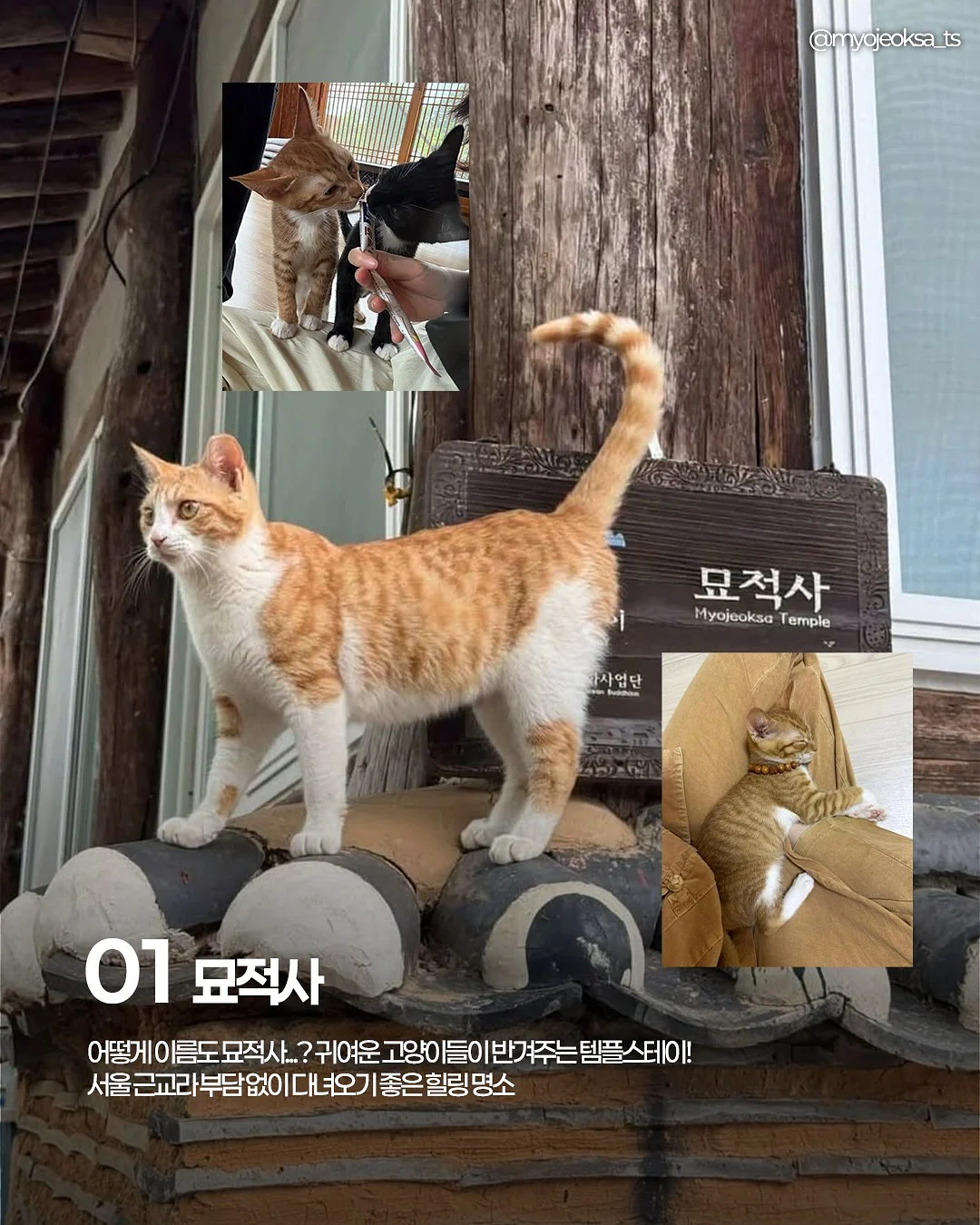 결국 인생을 바꾸는 사람들이 하는 선택 2