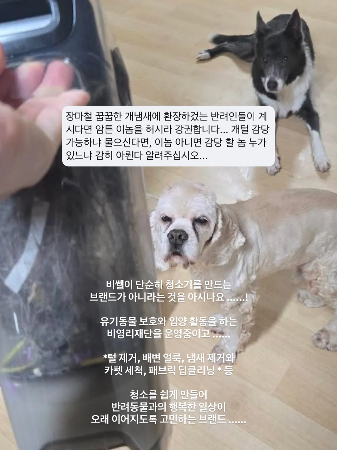그라티아 우드버튼 파우치 19