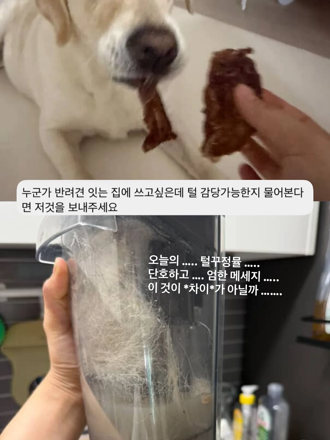 그라티아 우드버튼 파우치 20