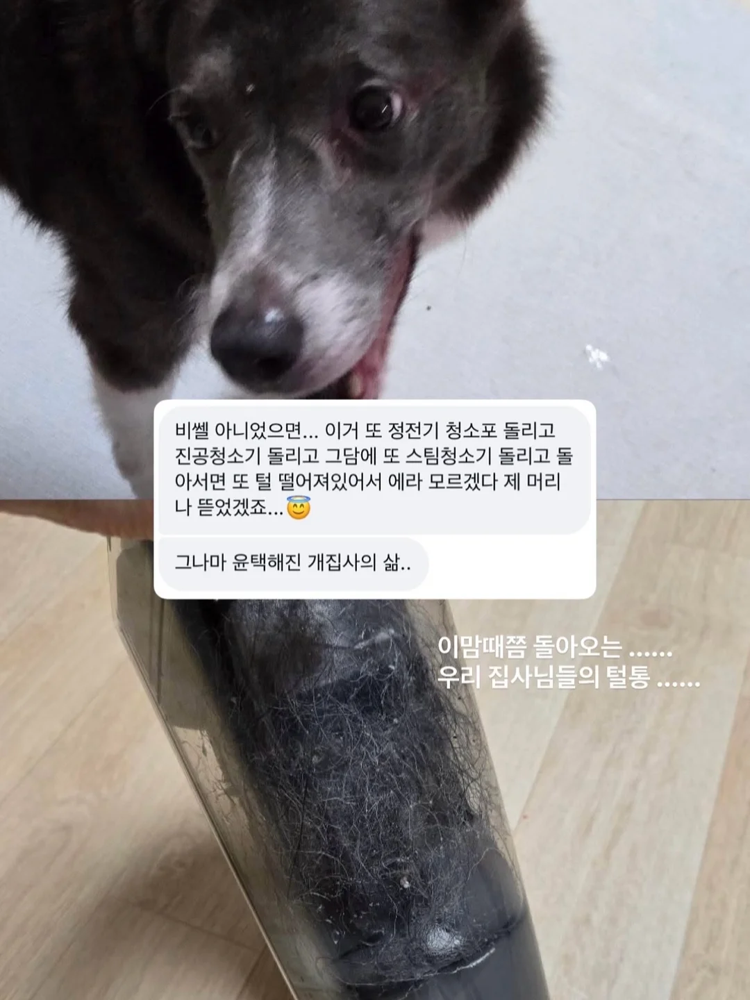 그라티아 우드버튼 파우치 5