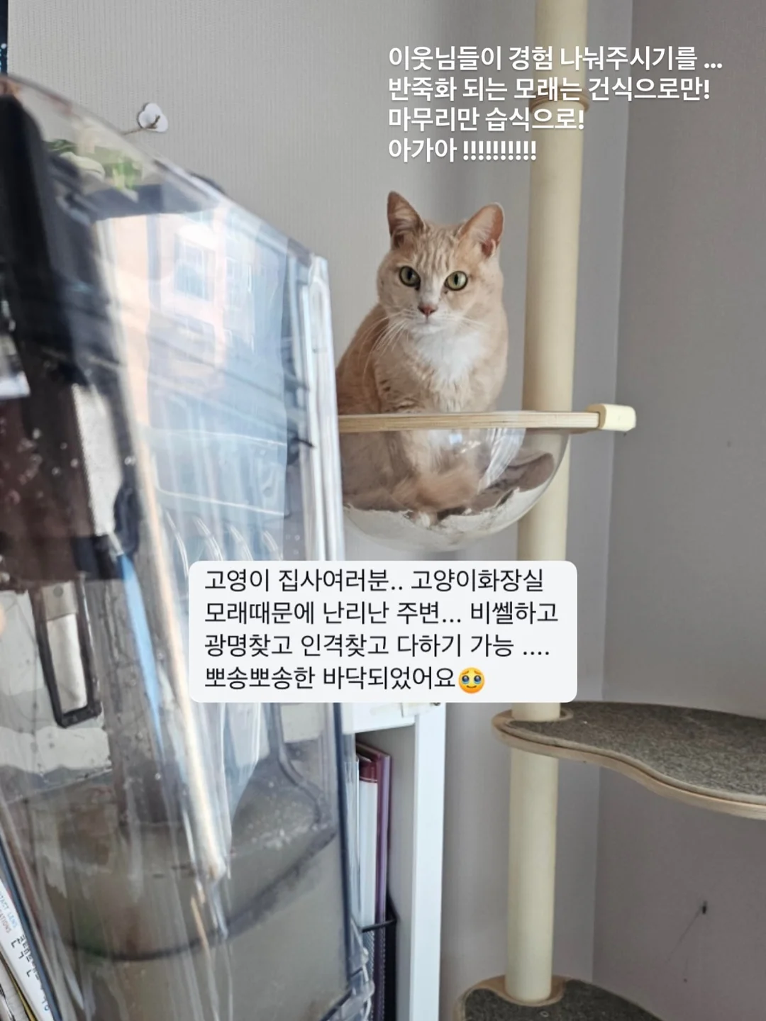 그라티아 우드버튼 파우치 6