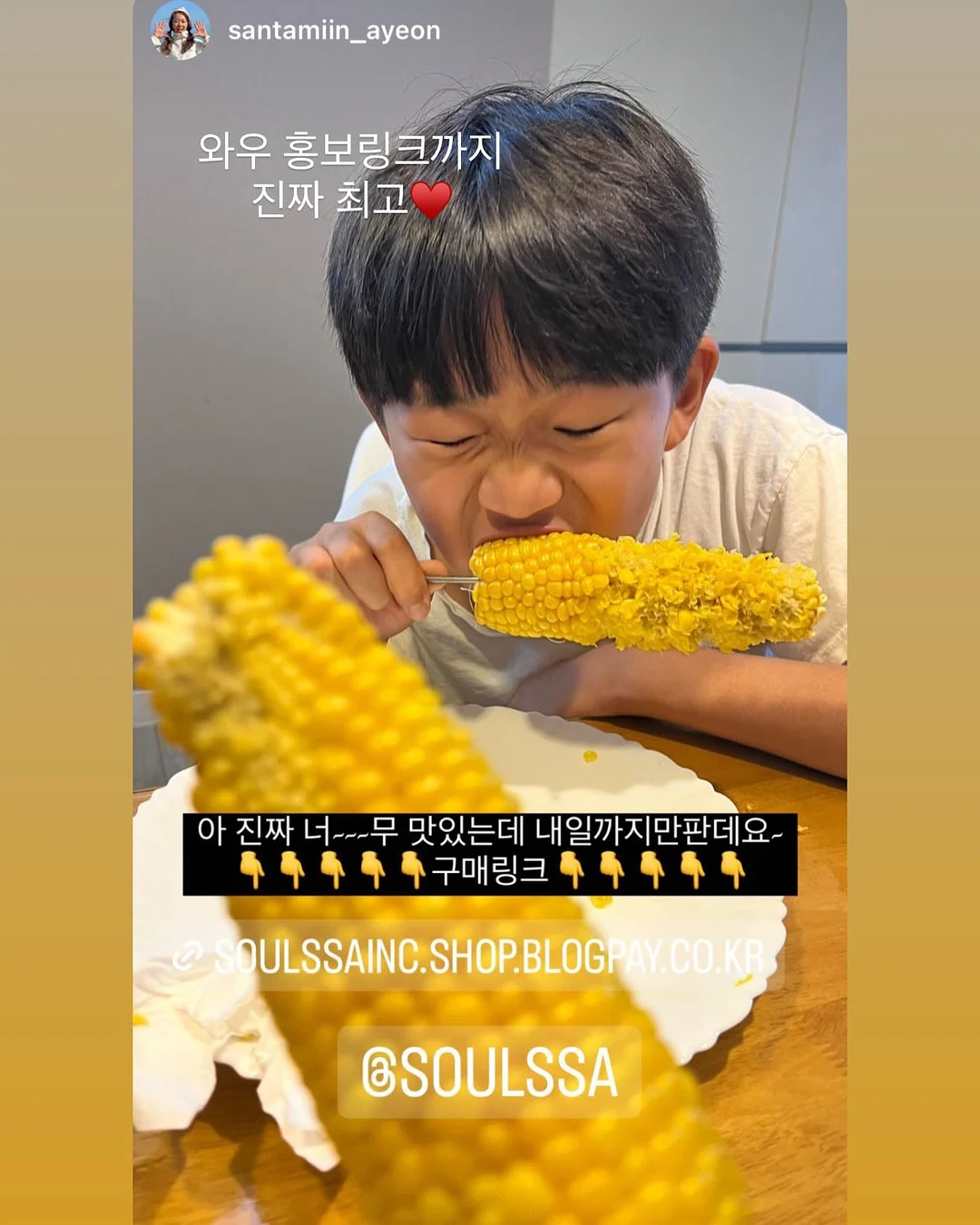 애플망고 묘목 11