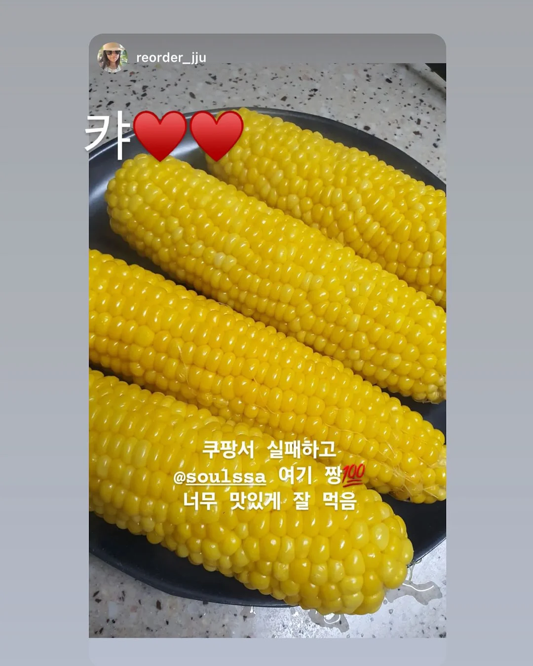 애플망고 묘목 13