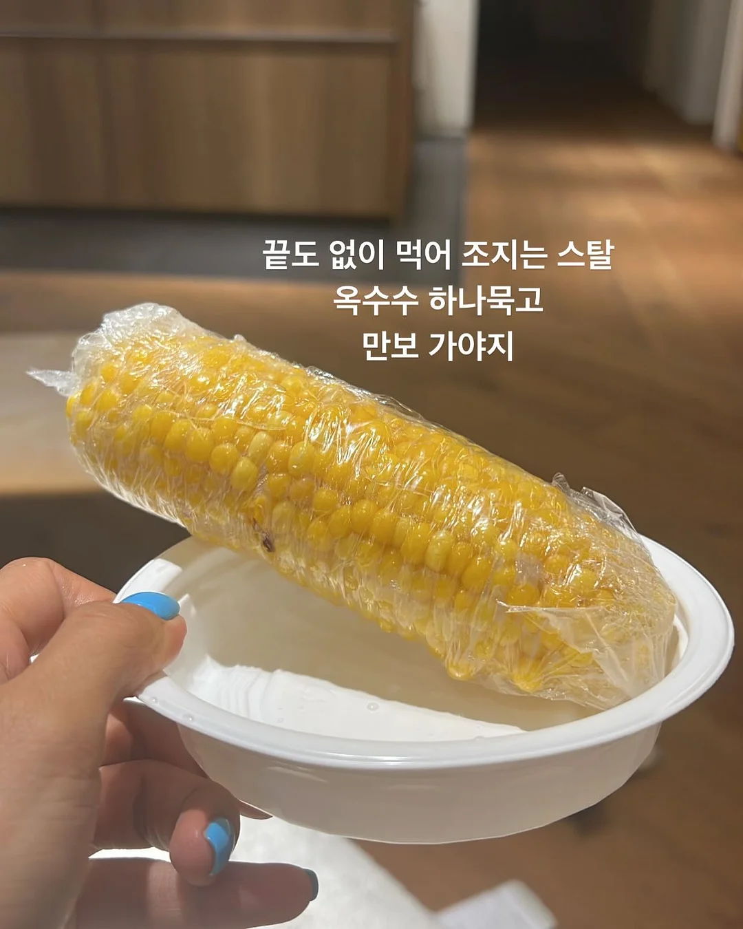 애플망고 묘목 17