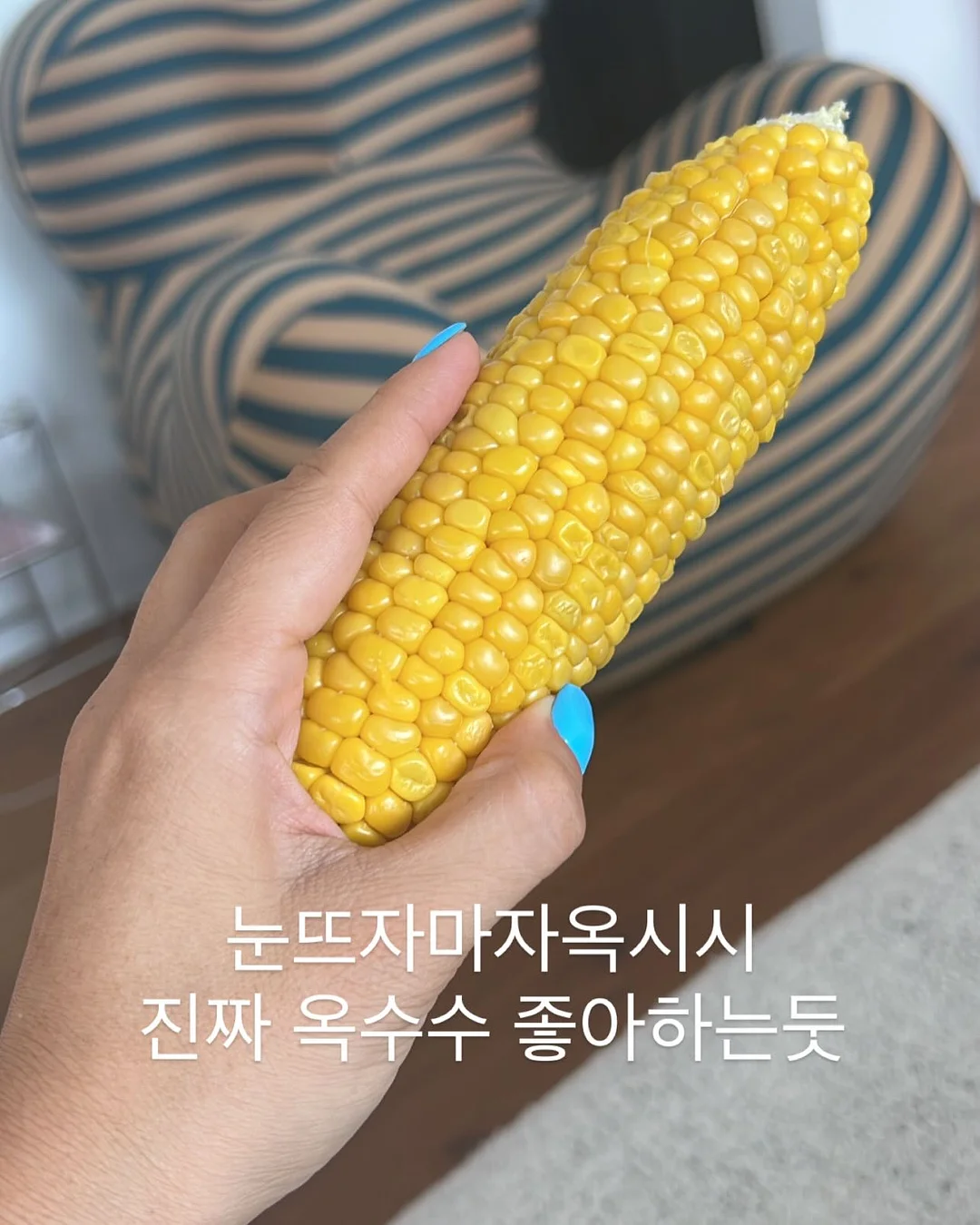 애플망고 묘목 6