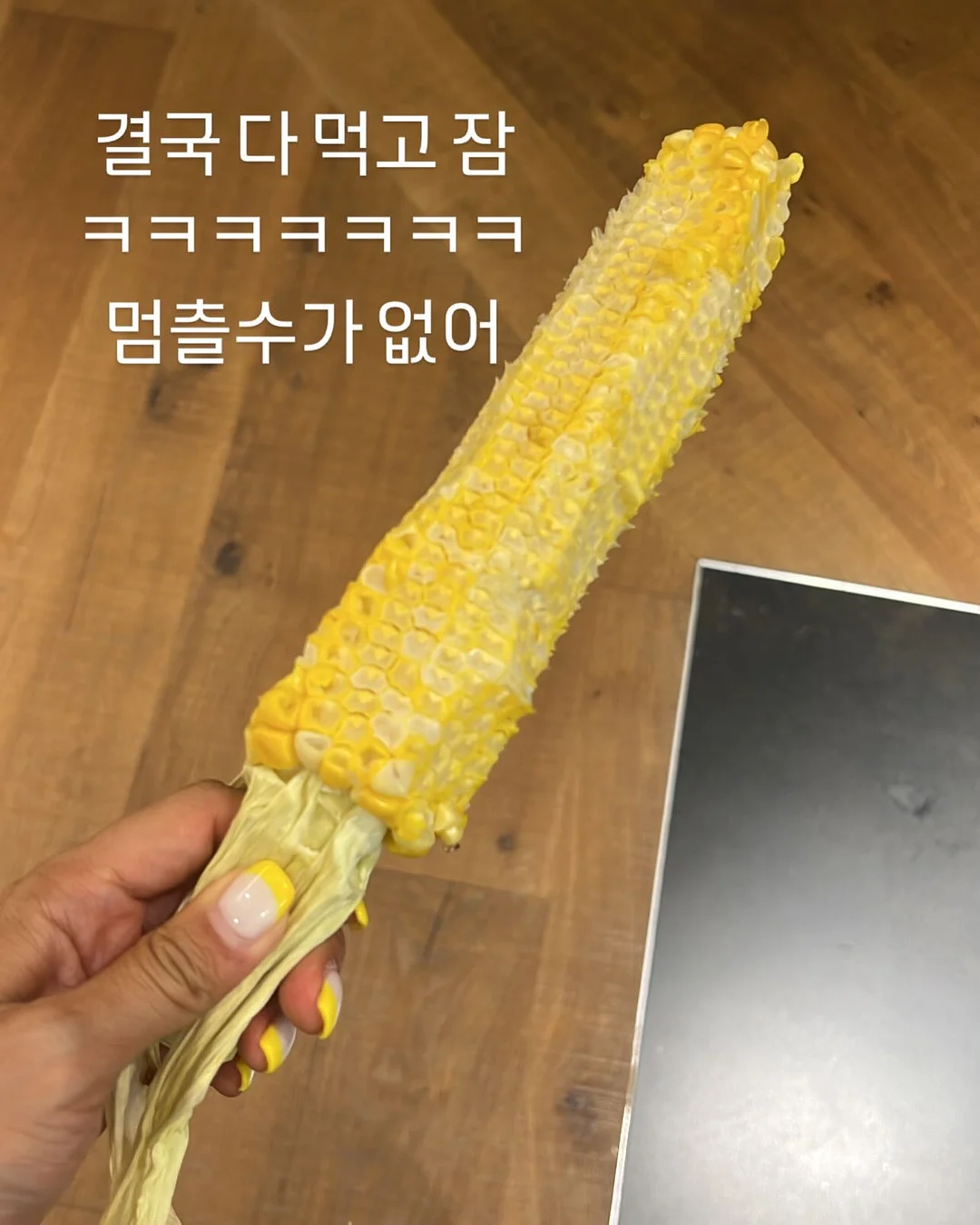 애플망고 묘목 8