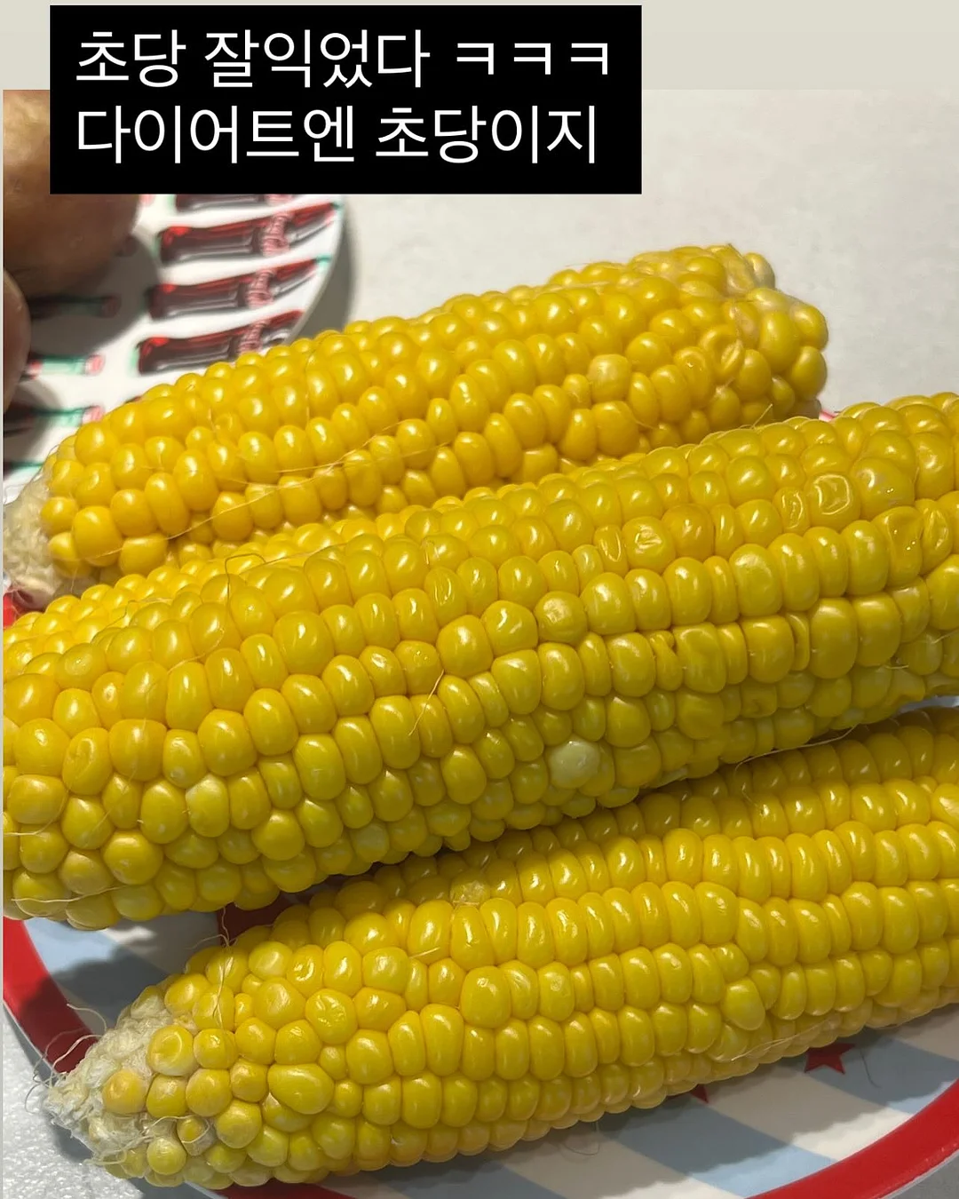 애플망고 묘목 9