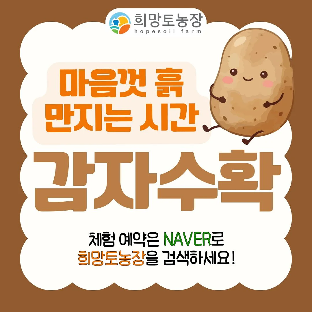 인담 밸런스업 태극삼 진액