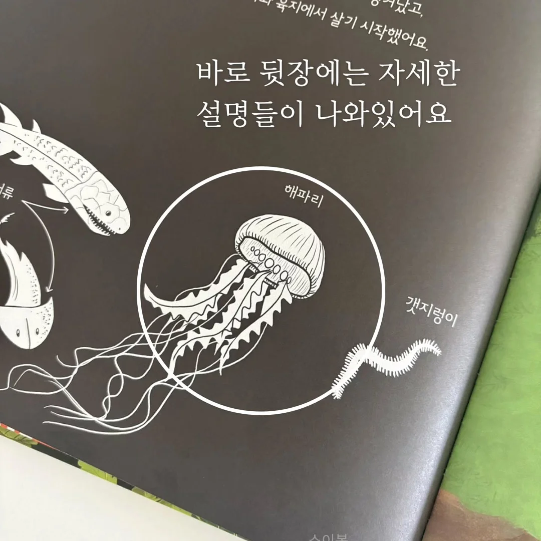 밀키돼지 수육용 3