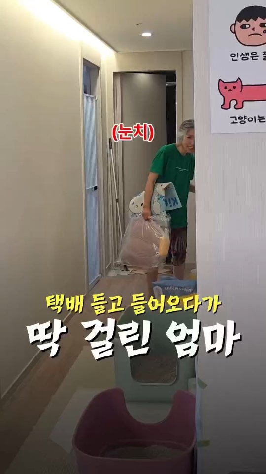 하트 모양 식물
