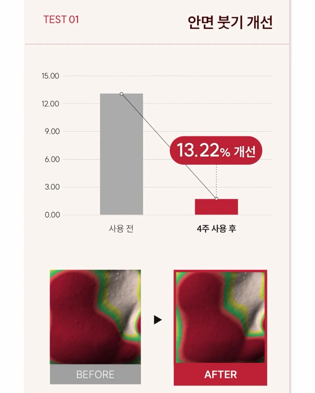수제 아이스크림 메이커 12