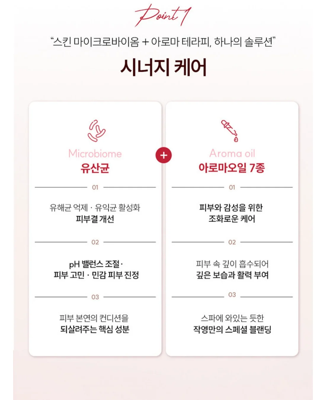 수제 아이스크림 메이커 10