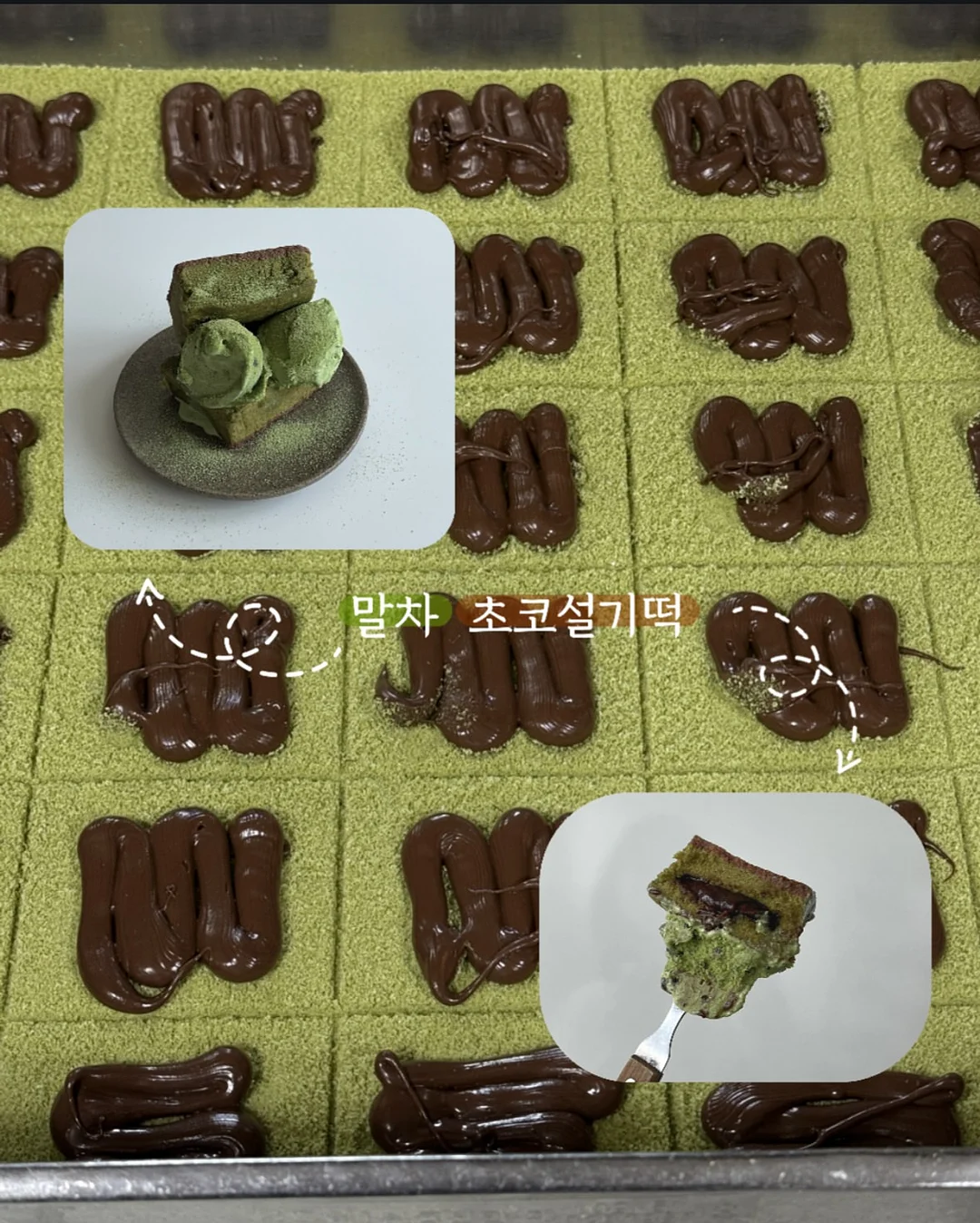 홍지호 북토크 ‘참다 참다 초록을 흘리고’ 1