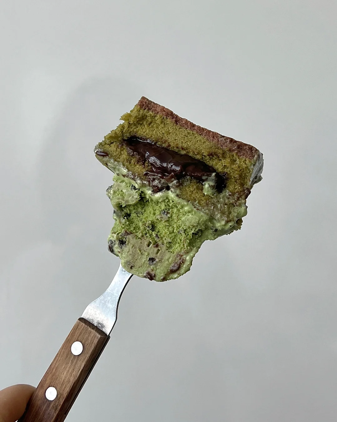 홍지호 북토크 ‘참다 참다 초록을 흘리고’ 3