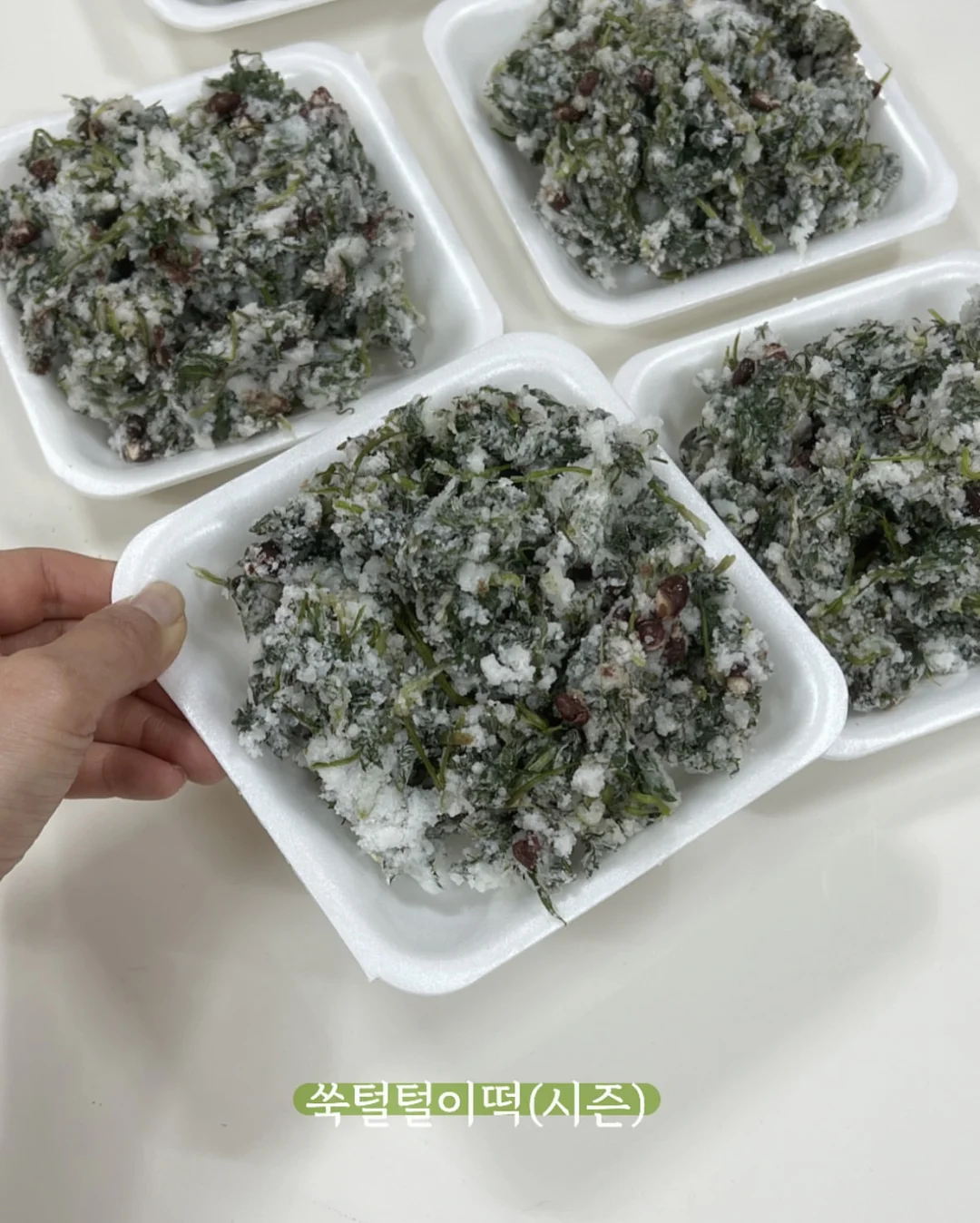 홍지호 북토크 ‘참다 참다 초록을 흘리고’ 4