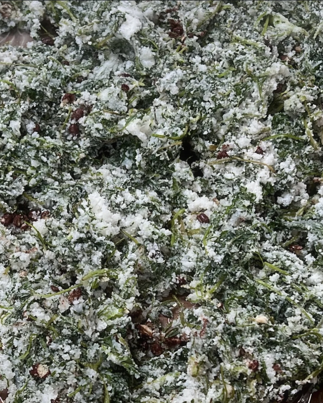홍지호 북토크 ‘참다 참다 초록을 흘리고’ 5