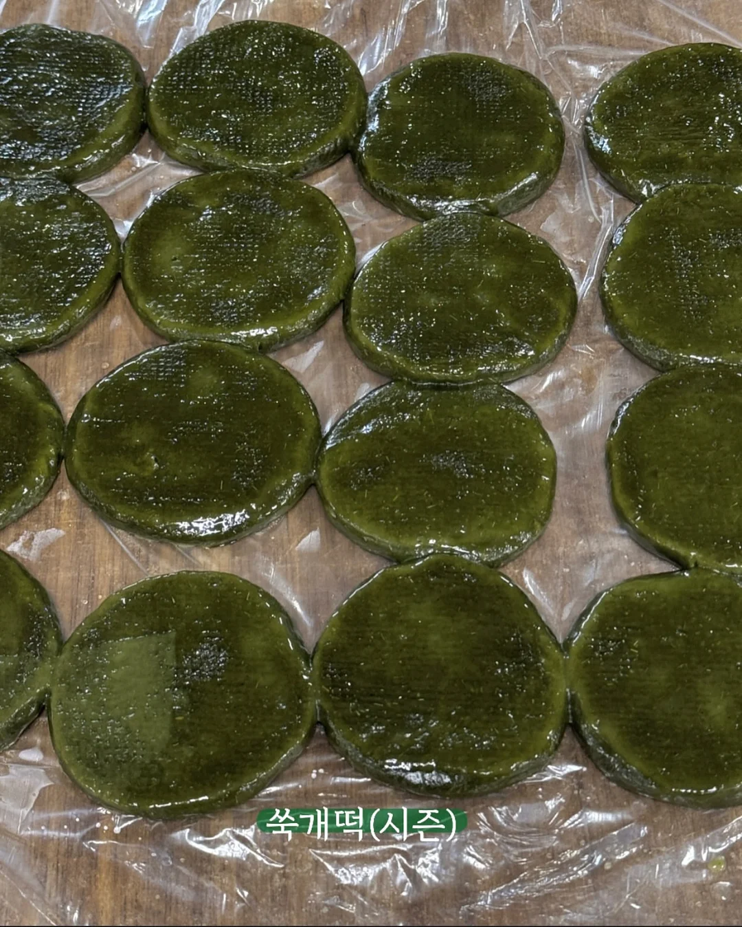 홍지호 북토크 ‘참다 참다 초록을 흘리고’ 6